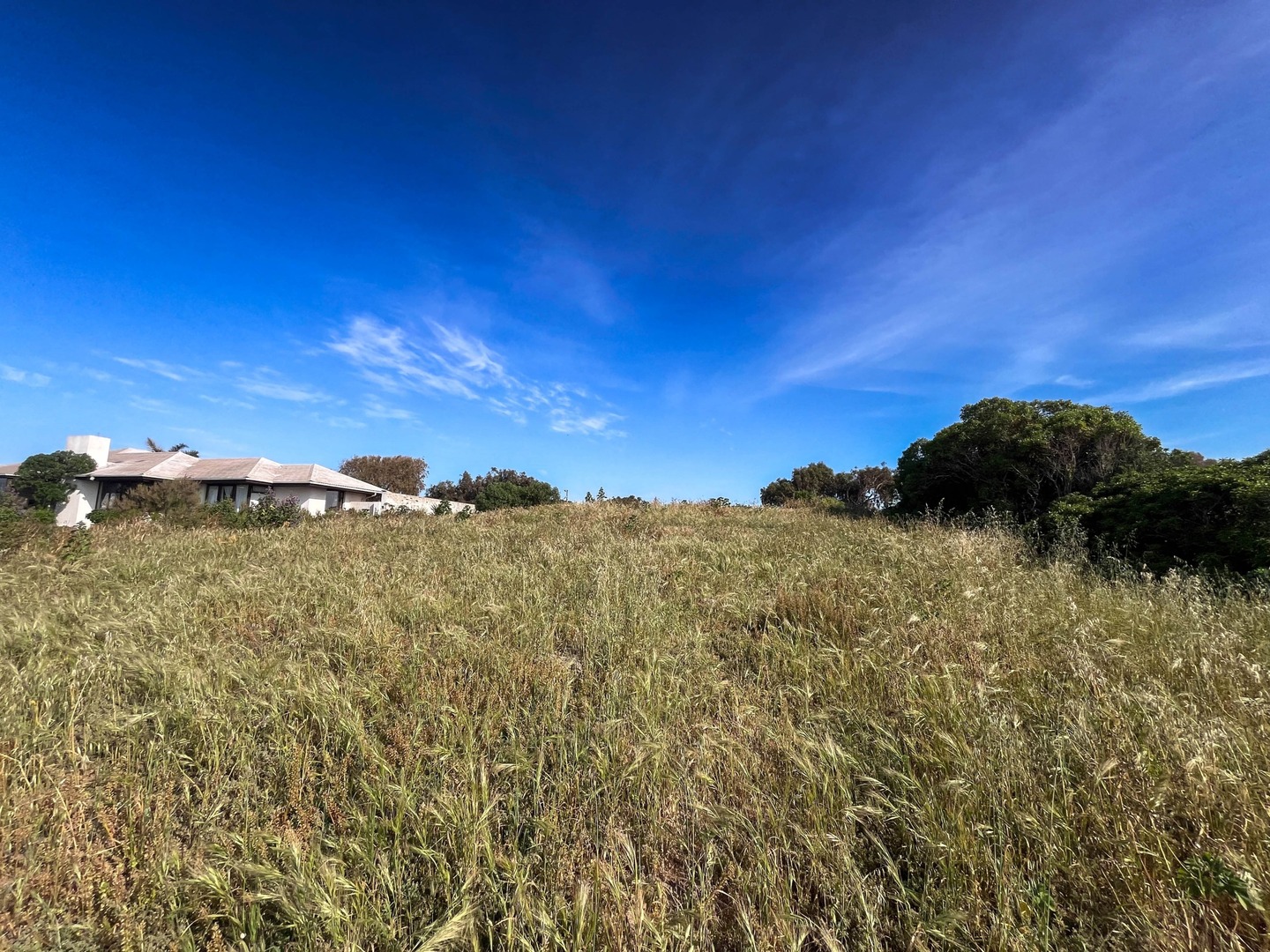 0 Bedroom Property for Sale in Saldanha Western Cape